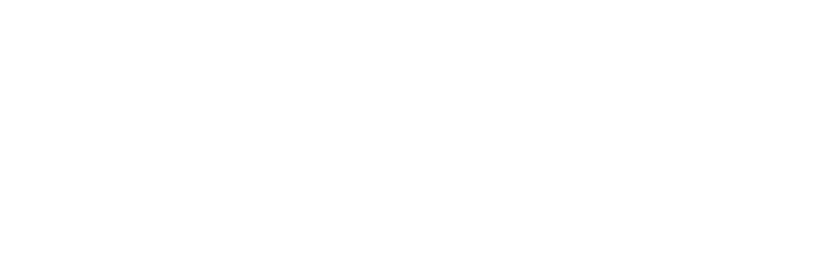 Electric Services WI